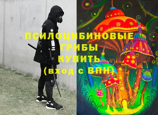 скорость Каменка