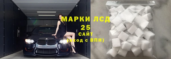 скорость Каменка