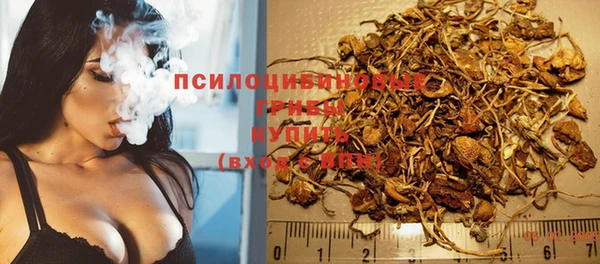 a pvp Каменногорск