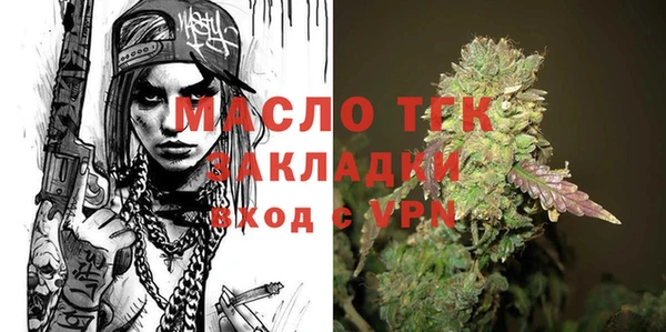 скорость Каменка