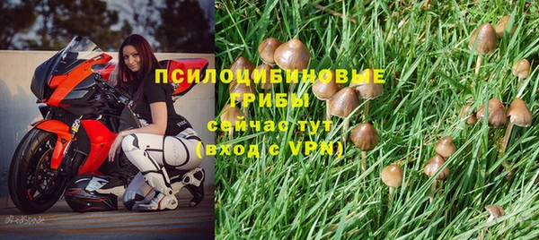 a pvp Каменногорск