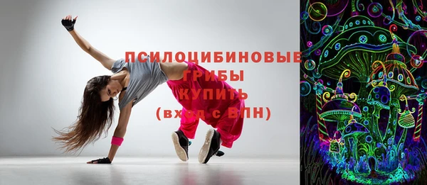 a pvp Каменногорск