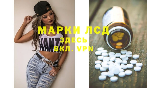 скорость Каменка