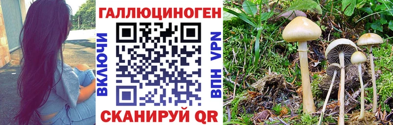 Галлюциногенные грибы Magic Shrooms  Мышкин 